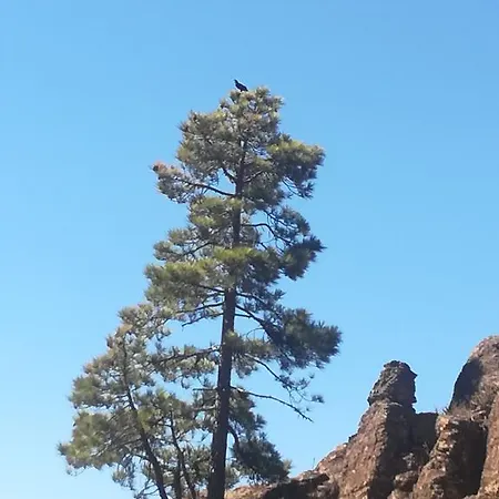 Nyaraló Casa El Pino *