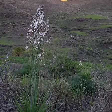 Casa El Pino Mogán